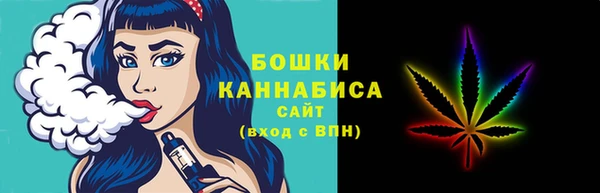 амф Арсеньев