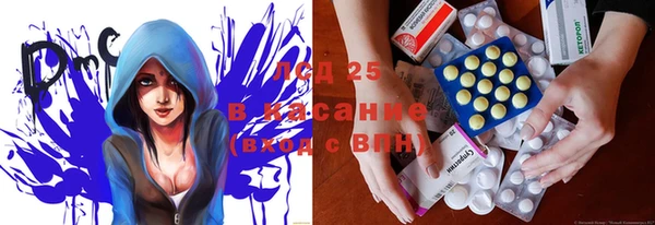 винт Аркадак